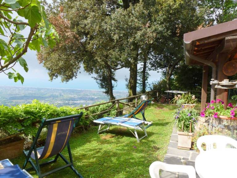 House with barbeque, patio & yard — photo 3
