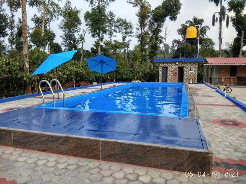 Bed and breakfast  Chickmagaluru