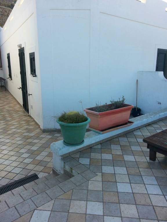 foto11