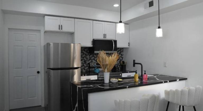 Prime Oasis, 1 mi to Temple U, Washer and Dryer, Free Snacks — photo 2