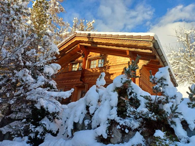 Ferienhaus mit Hund in Grindelwald, Interlaken für max. 4 Personen Ferienhaus mit Hund in Grindelwald, Interlaken für max. 4 Personen