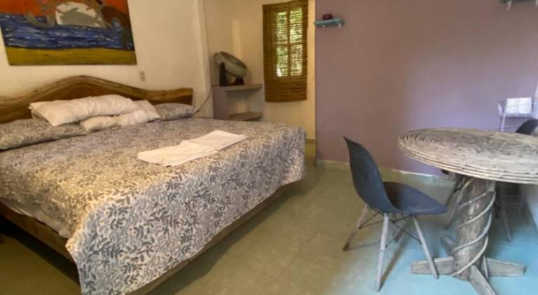 Jardin del Mango Nu — photo 2