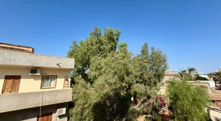 Charming serviced apartment with yard | Next to the beach | Pets are welcome — photo 5