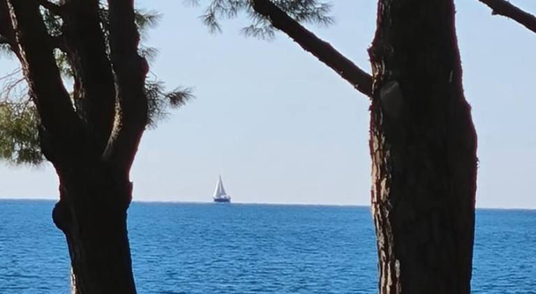 foto25