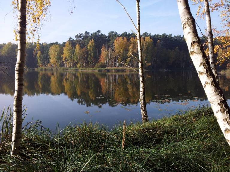 foto19