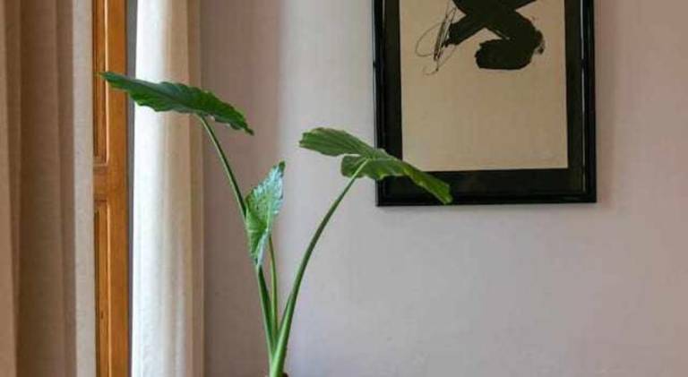foto31