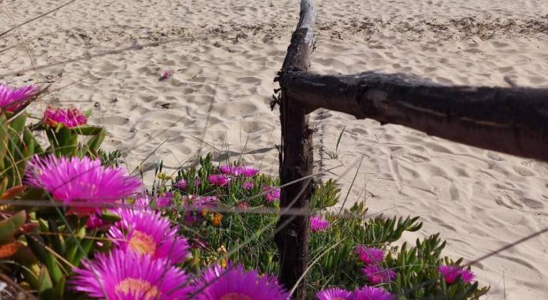 Holiday apartment with 2 rooms for 4 persons in Manduria