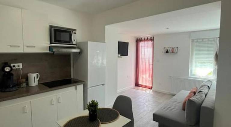 Apartment | Pets are welcome — photo 2