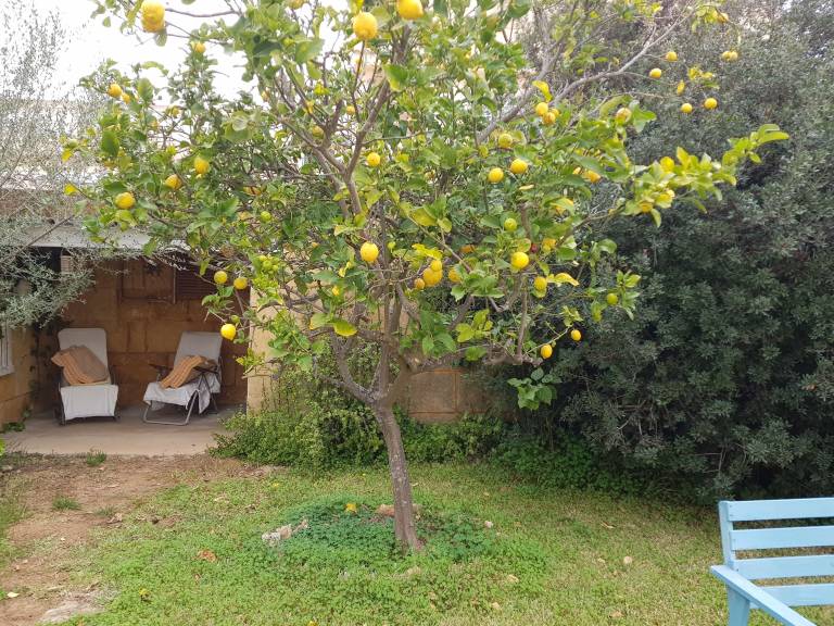 Ferienhaus Playa Es Trenc