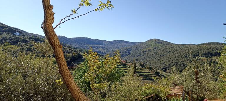 Agriturismo Costia Mandorli: Costia Mandorli - App. Olivo — photo 4