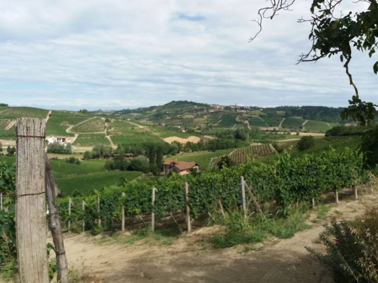 foto21