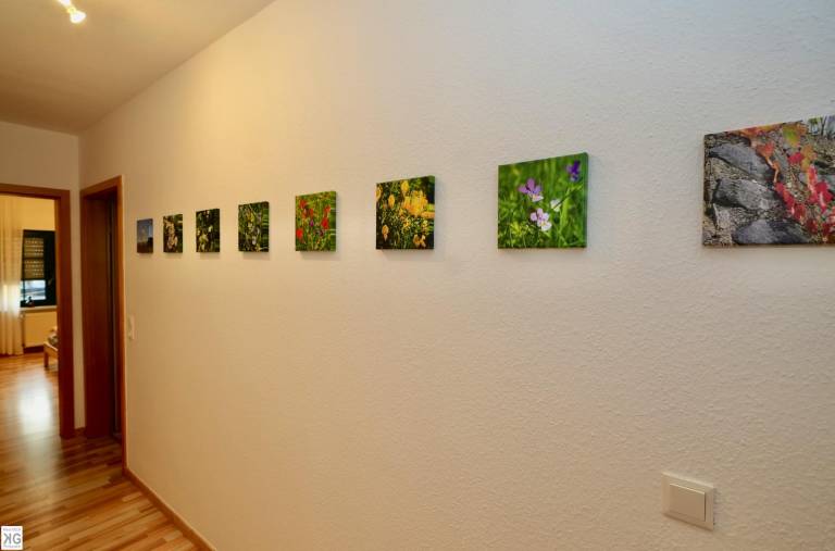 foto33
