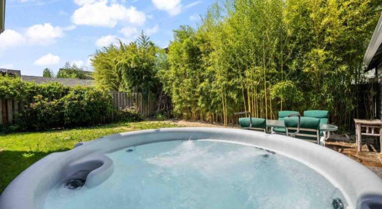 Vacation home with jacuzzi | Pet-friendly — photo 4