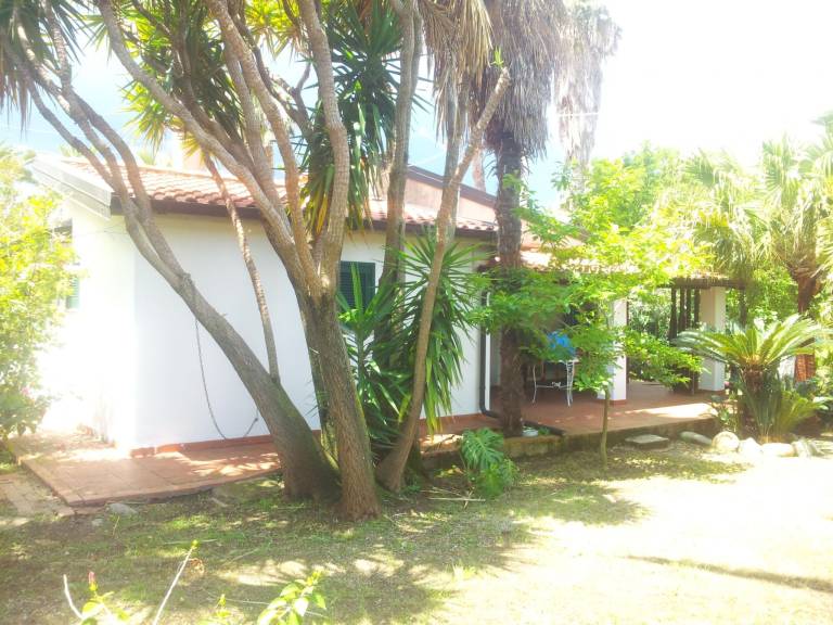 House with barbeque — photo 3