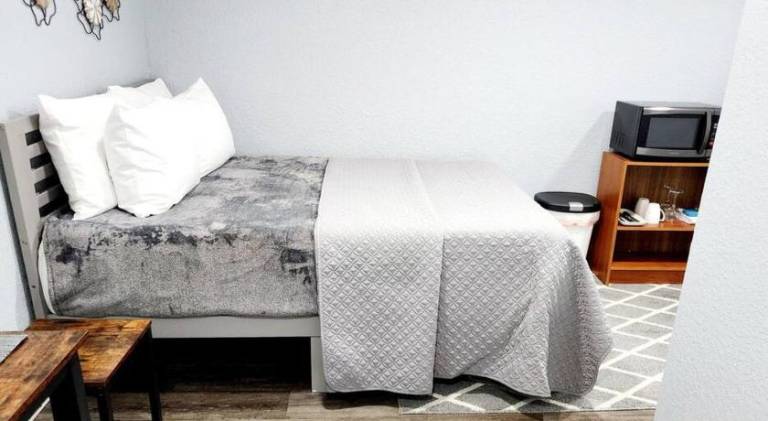 Nice holiday apartment | Dogs allowed in Lakeland, FL