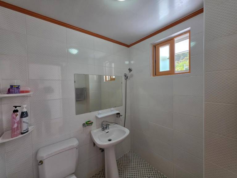 foto42