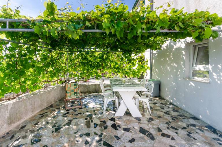 House Branka — photo 2
