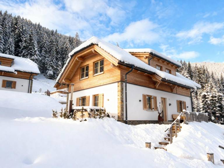 Chalet  Donnersbachwald