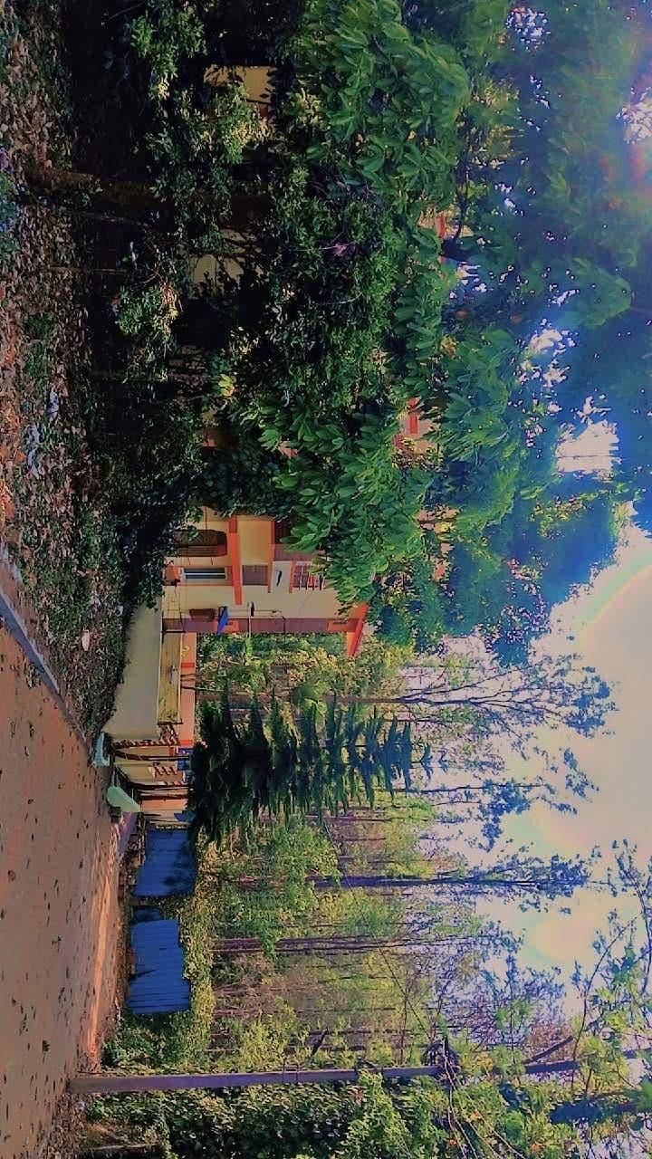 foto16