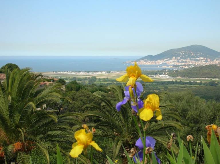 Maison de vacances Bastelicaccia