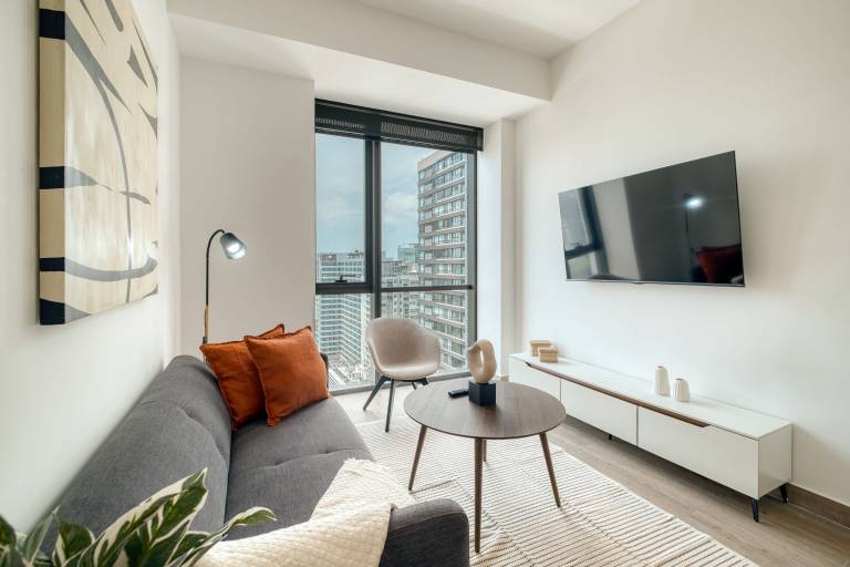 Rental apartment with fast internet & grill in Mexico City