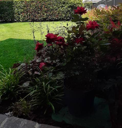 foto8