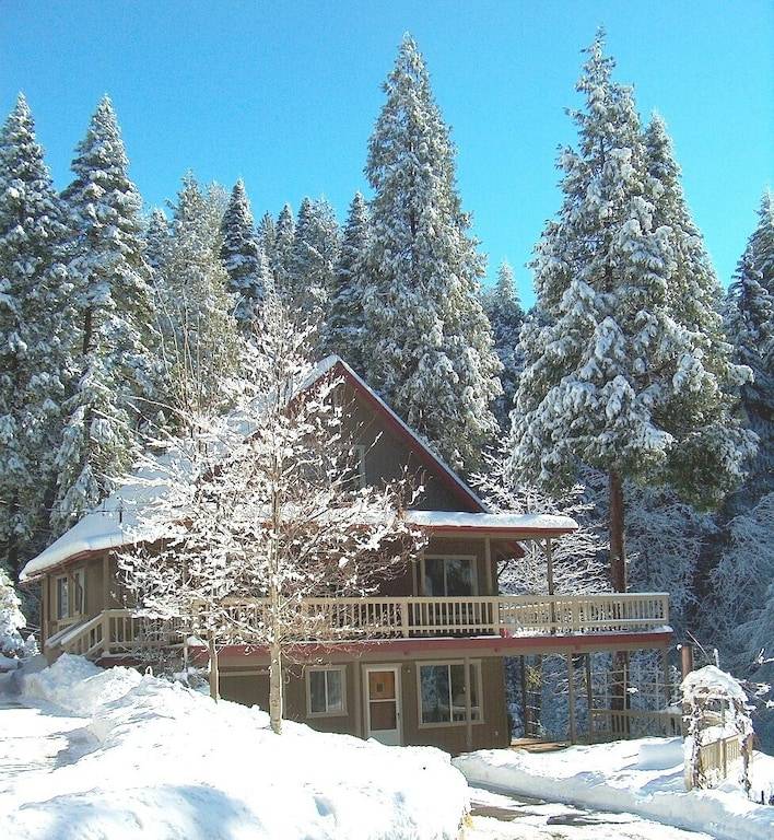 Cabin Amador County