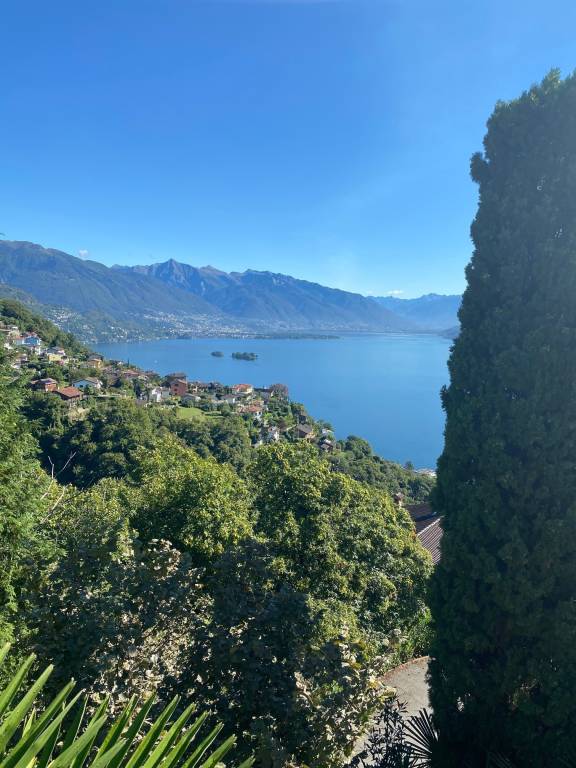 foto14