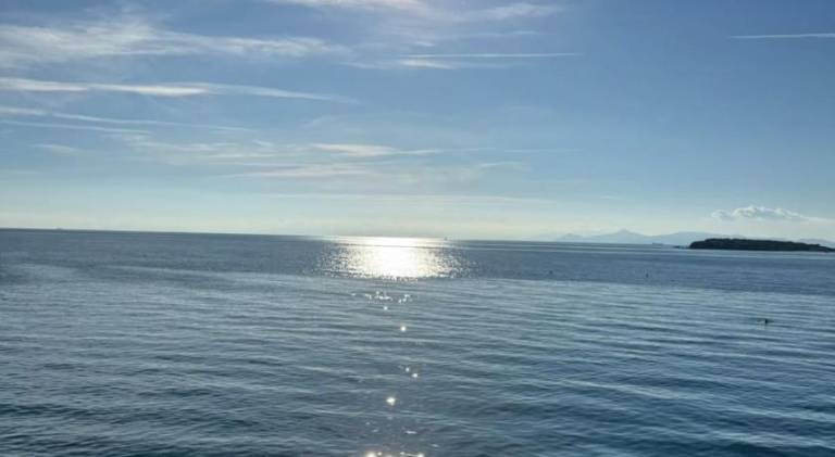 foto33