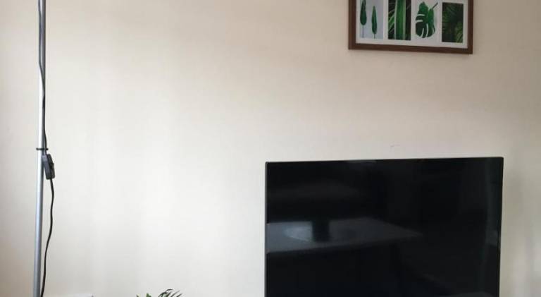 Wonderful rental apartment | Pet-friendly — photo 3