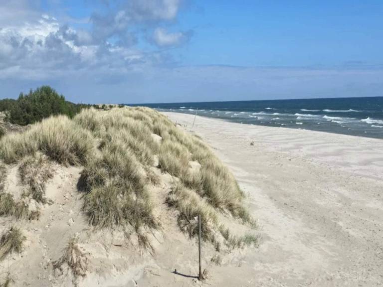 foto21