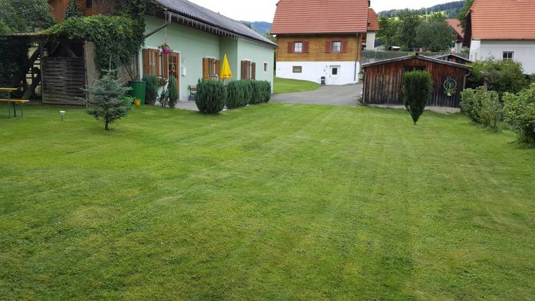 foto31