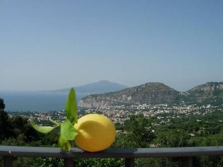 Holiday apartment with patio & yard — photo 2