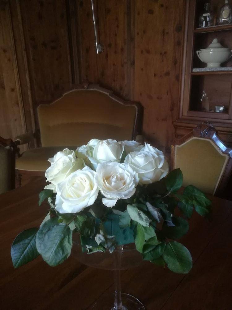 foto36