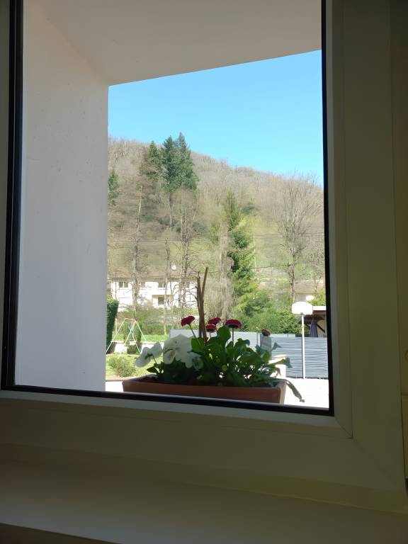 foto12