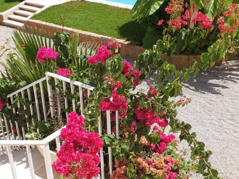 Ferienhaus  San Juan de los Terreros