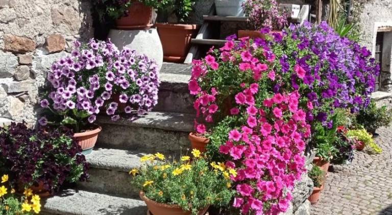 foto20