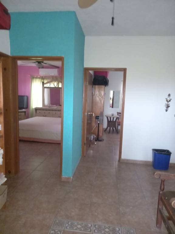 foto5