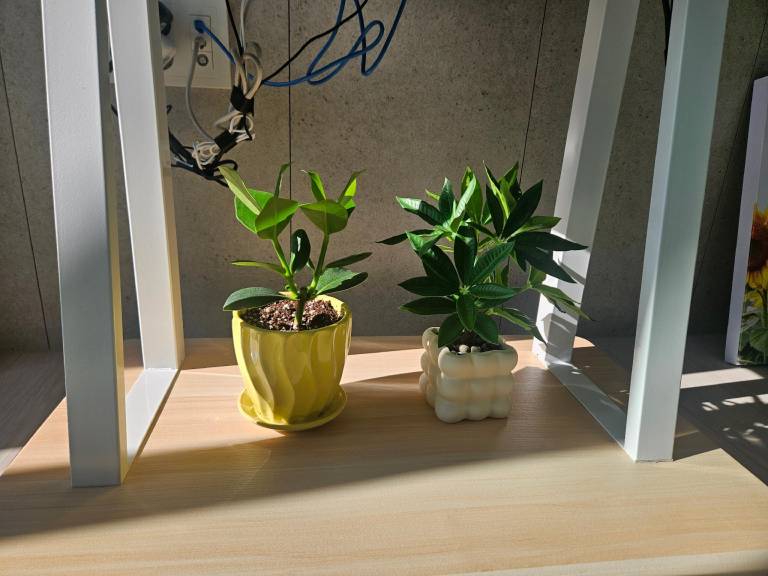 foto31