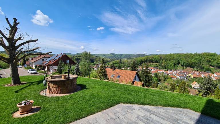 Ferienwohnung Schönau (Pfalz)