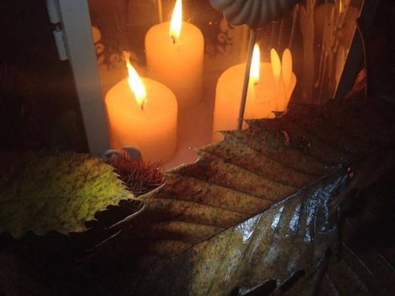 foto41