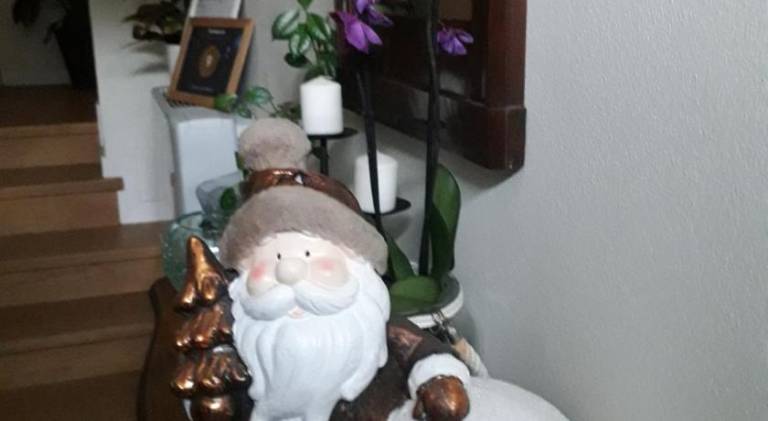 foto20