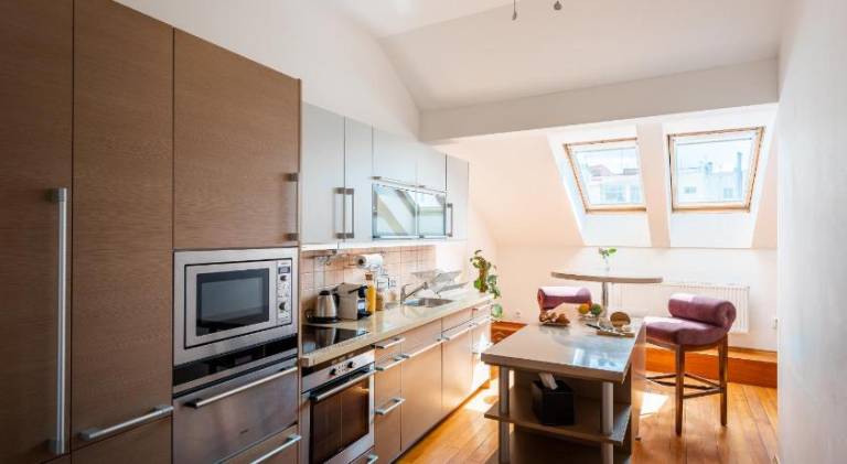 Serviced apartment with yard | Close to Prague astronomical clock | Dogs allowed — photo 4