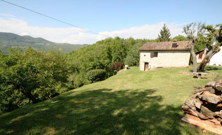 foto2