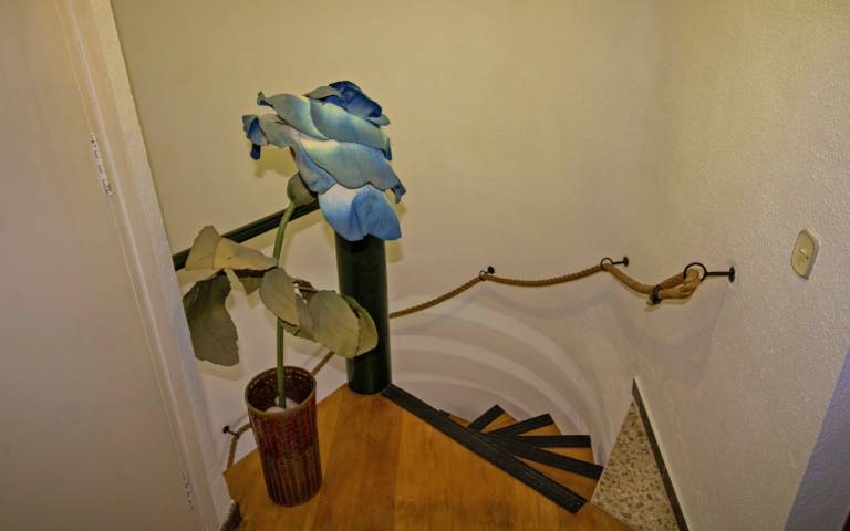 foto19