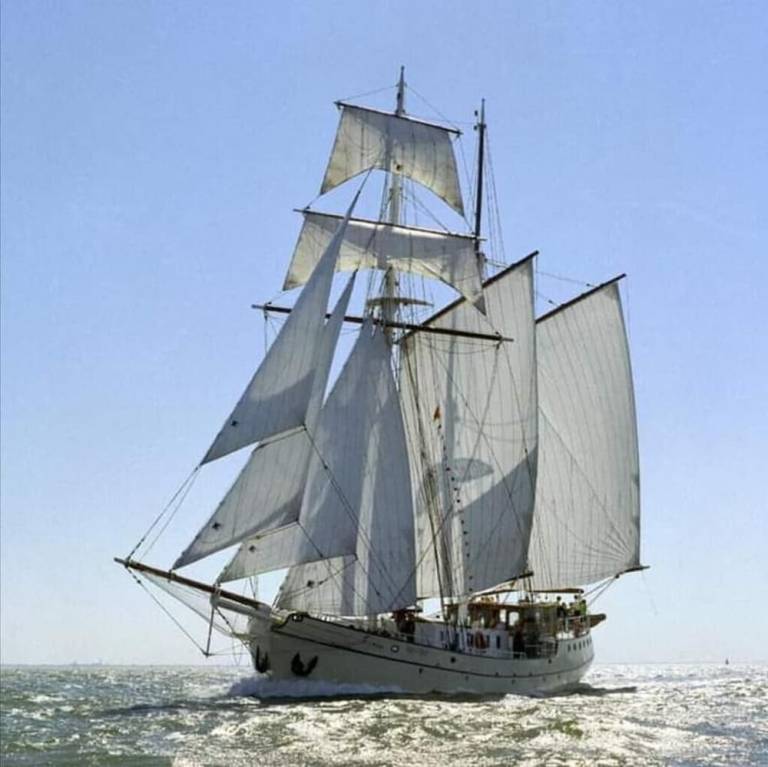 Cottage  Harlingen