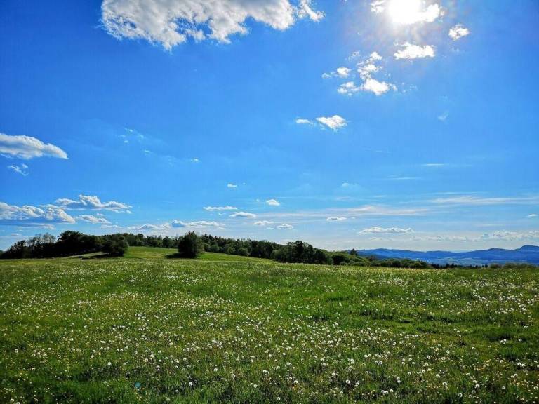 foto17