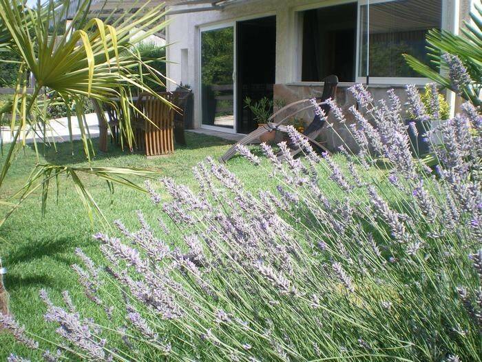 Rental apartment with grill & yard | Mountain view — photo 2