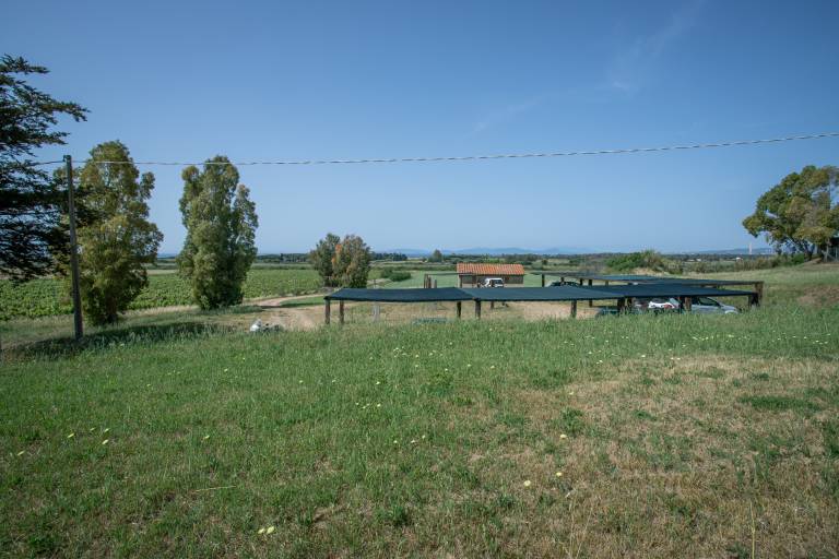 foto19