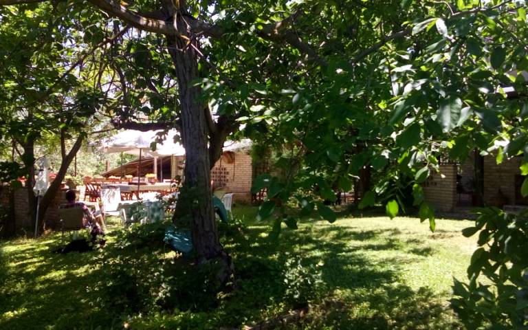 foto37